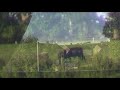 Canon FS100 Digital SDHC Camcorder Zoom Test