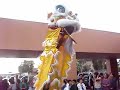 DMVN Lion Dance 07