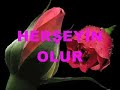k-rt-kz-nasl-syler-dinleyin-.html