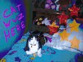 unicorn hard-on HELLEBORE music video