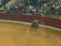 la desencajonada del pilar 2005