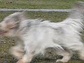 A windy day - part 1