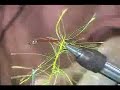 Tying Dee\