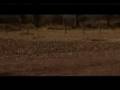 Un Minuto por mis Derechos - Videoclip del queso