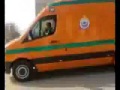 ��� ������