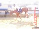 Calli$ Schooling and RIding