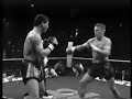 A Tribute to Muay Thai Kicks.