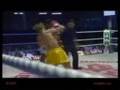A Tribute to Muay Thai Kicks.