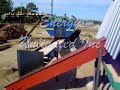 Wood Shavings Plant
