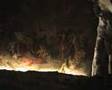 videos de LA GROTTA DI VENERE