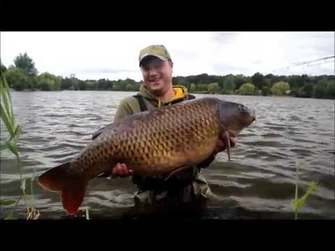 XL Carp Video