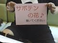 お誕生日に♪サボテンの花♪