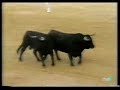 San Fermin TVE 1 1995 - 1