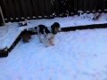 Nelly samen in de sneeuw met Ollie