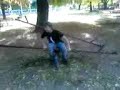 Siptari