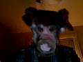 videos de i need clean socks