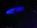 Chanson Tapion Guitare