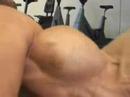 MAster OF ----Bodybuilding
