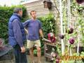 videos de De Verhuizing