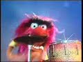 Wild Thing - Animal Wild Thing - Animal