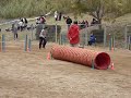 MOV01756.MPG
