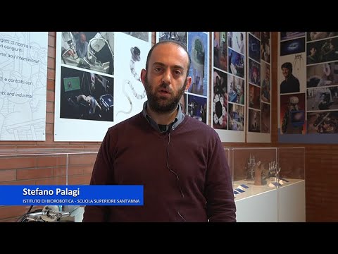 Intervista a Stefano Palagi, vincitore del progetto ERC Celloids