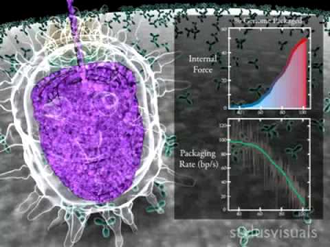 Imagen de previsualización de YouTube
