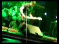The Stranglers - Toiler