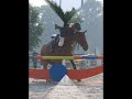 Nos chutes à cheval Nos chutes à cheval