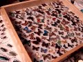LA Bug Fair \