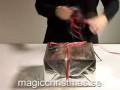 videos de Magic Christmas 2008 - Wrap a gift
