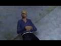 videos de Danland