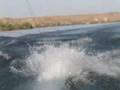 Lake Havasu Trip 1