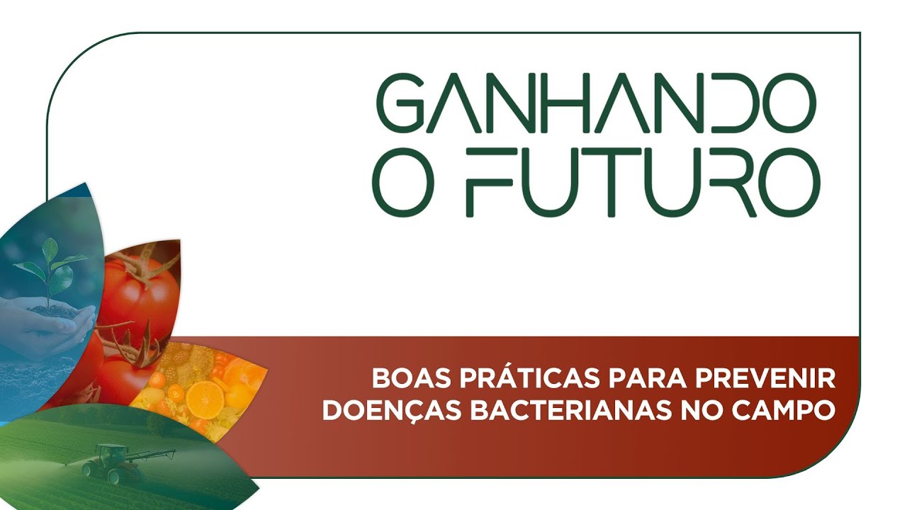 Boas práticas para prevenir doenças bacterianas no campo