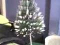 videos de MOV00001