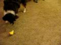 cora and sandy 019.AVI