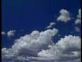 William Orbit.   - 'Harry Flowers'.