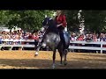 dressage artistique/Artistic dressage