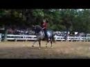 dressage artistique/Artistic dressage