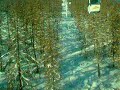 Briancon : Vid�o t�l�cabine mont�e du Prorel