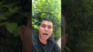Khmer  - តោះមើលល្ខោនឈុត..