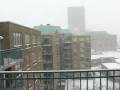 Snow Storm Jan 7 2009