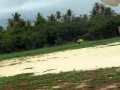 ������ι�Ԥ���9 �������������ӥ���Ⱦ���ԡ�:YouTube������=0��