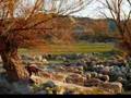 Paseando por Castilléjar y Galera