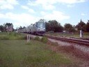 SB Amtrak Silver Meteor (I think) heads to Miami, unusual horn.