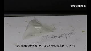 エポキシ樹脂、資源循環しやすく　東大が高機能化技術