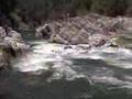 Salmon-Nordheimer Downriver Kayak Race
