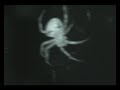 Spider SOAD
