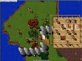 aqui le dimos palo al jerry porq era el mas alto del server y pos le queriamos baajr los humos xd  lo planeamos 1 semana pero al final fue espontaneo...