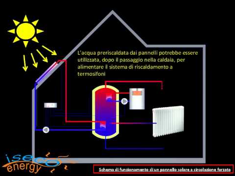 Immagine anteprima YouTube